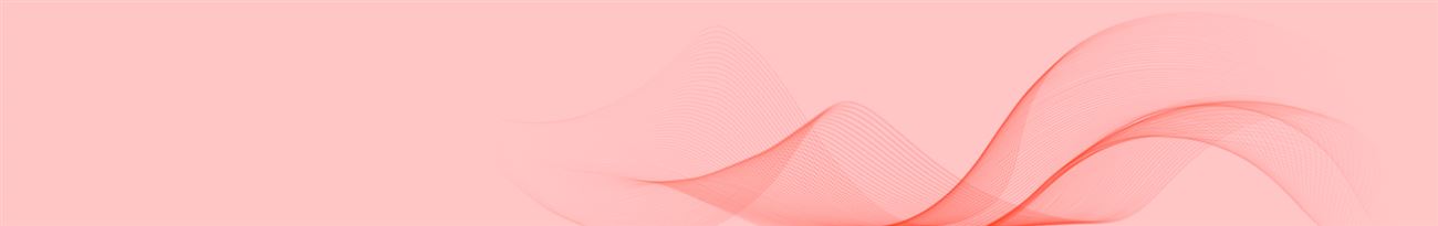 Banner trang Đội ngũ luật sư